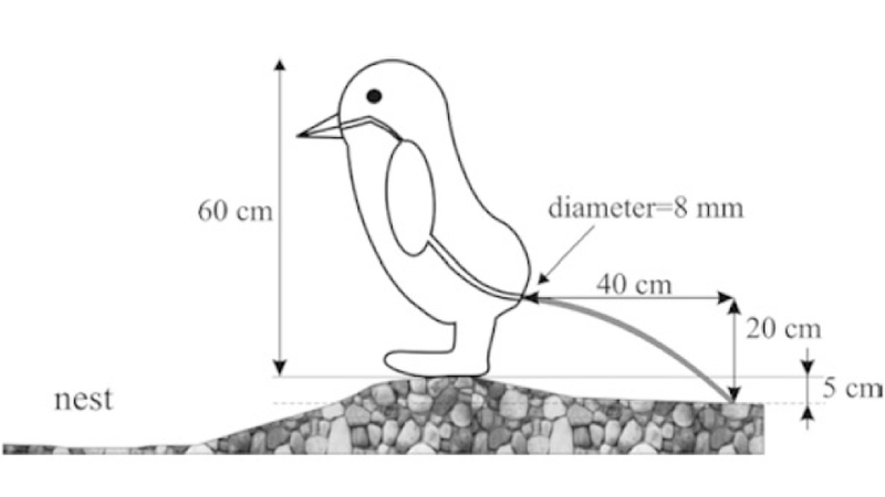 Illustration for article titled 18 Things You Probably Didn't Know About Poop